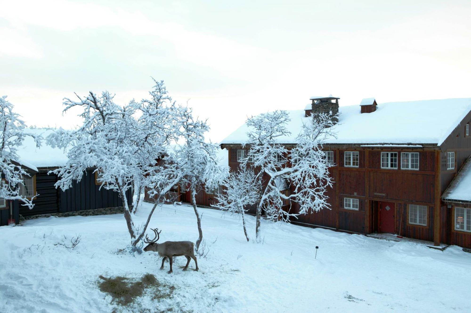 Harahorn Fjellgard Hotel Grøndalen Екстериор снимка