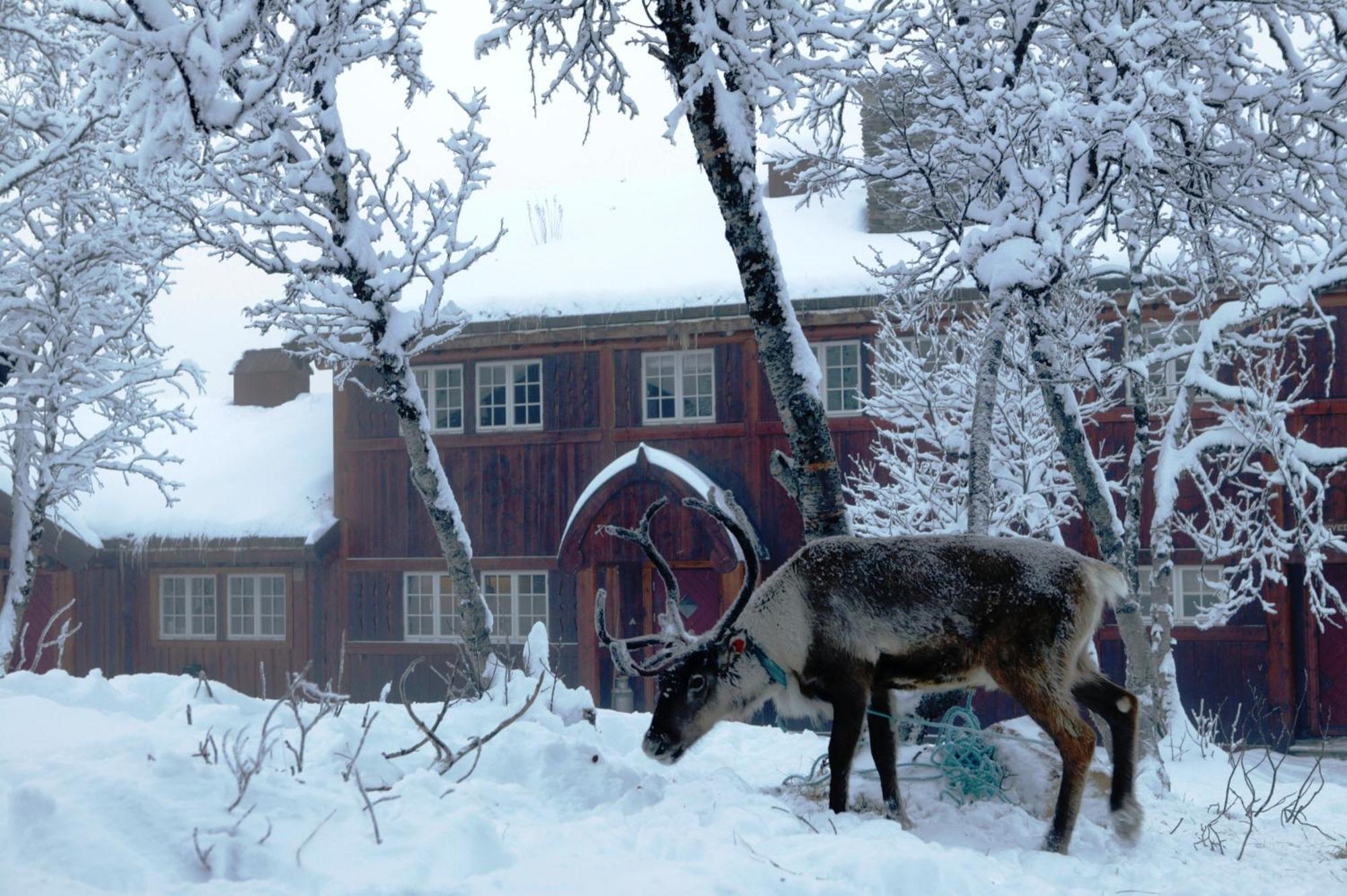 Harahorn Fjellgard Hotel Grøndalen Екстериор снимка